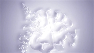 فیلم عمل فیکساسیون و فیوژن ستون فقرات