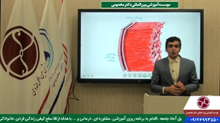 نکته تست های کنکوری : ساختار بافتی قلب