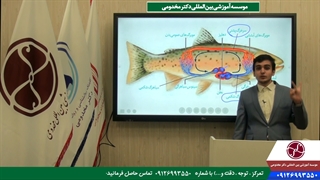 نکته تست های کنکوری گردش خون ماهی