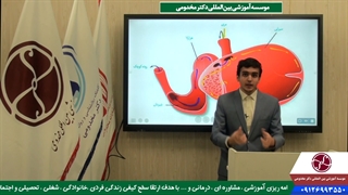 نکته تست های کنکوری نشخوارکنندگان