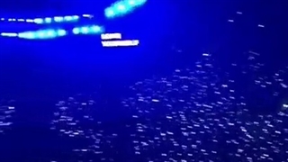 هم خوانی تیکه ای از آهنگ Spring Day توسط آرمیا