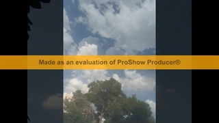 فیلمبردار و عکاس-حسام الدین شفیعیان+آهنگ-آهنگ امین بانی دل منم خدایی داره