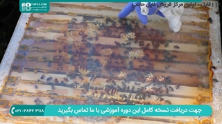 آموزش زنبورداری (دوبله) - جابجا کردن کندوها