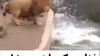 کلیپ طنز * خیلی عالی و شیک ضایع شد(: