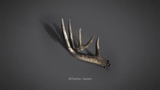 Ali Sorena - Gavazn - 02 - Nakhoda Jelal علی سورنا - آلبوم گوزن - ناخدا جلال