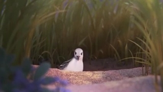 انیمیشن بسیار زیباومفهومی محصول مشترک والت دیزنی وپیکسارساخت این انیمیشن 6دقیقه ای 3سال زمان برده!ترس یک تصورذهنیست