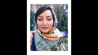 علت ریزش برگ بنجامین