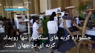 جشنواره تخصصی گربه ها | سنگاپور 2019