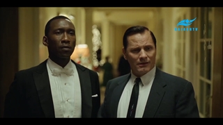 مستد معادله