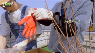 دانلود برنامه " یک باغچه پشت بومی " با تیونگ بهمراه زیرنویس فارسی