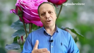 گروه آموزشی طاها