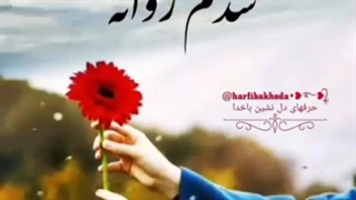 تکست عاشقانه رضا بهرام