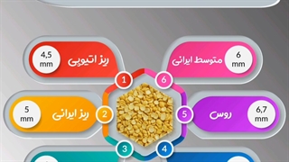 سایز انواع لپه موجود در بازار حبوبات ایران
