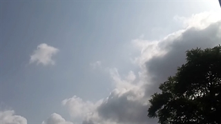 فیلمبردار-حسام الدین شفیعیان