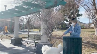 برنامه Work From Home پسرای BLITZERS+ زیرنویس فارسی