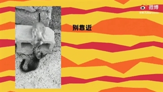 "Close to u" مارکو  & eliwa