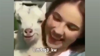 فقط پسره.