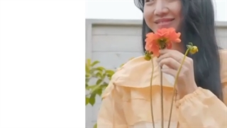 ویدئو تبلیغاتی ملکه مون: