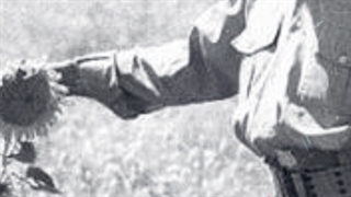 استوری شهید چمران