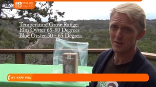 آموزش پرورش قارچ - پرورش قارچ در محفظه