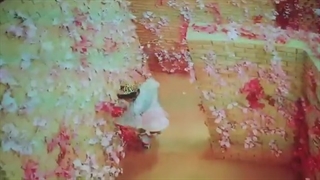 دیتا پروژکتور ان ای سی NEC NP-M282X