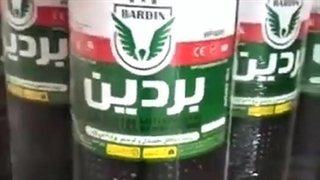 ایزوگام صادراتی بردین