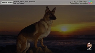 Learn German Vocabulary and Phrases for Duolingo Courses (Category 5)