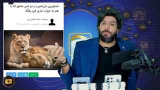 چرا غربگرایان میگویند دو شیر عاشق به خواب ابدی رفتند؟+سواد رسانه