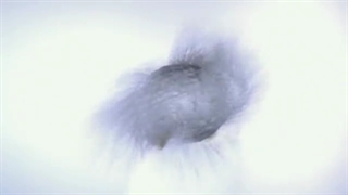 قابلیت active water و نحوه کارکرد زئولیت در ماشین ظرفشویی بوش