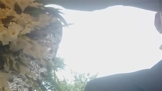 تشییع جنازه خاکسپاری  بهشت زهرا  https://sarayefani.com