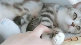 20.افسردگی بعد زایمان گرفته خخخخ اما رو بچه هاش حساس❤️