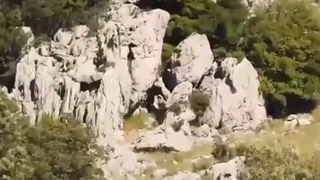 رزمایش بخشی از تیپ رضوان حزب الله لبنان Hezbollah