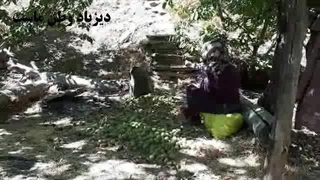 از لارو جوز شکستن تا تخلیه روحی در دیزباد