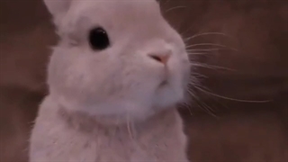 فن فیکم توی واتپد اپ میشه...حمایت کنید لینک پایینه