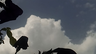 فیلمبردار-حسام الدین شفیعیان