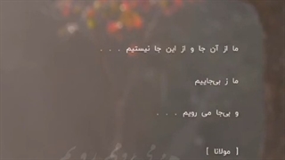 استوری مولانا