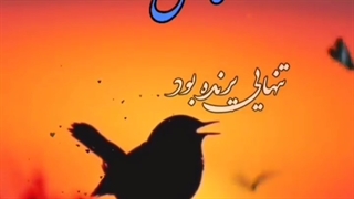 دلنوشته تنهایی