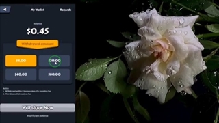 کسب درآمد با ترکیب کردن ماشین ها+مدرک پرداختی
