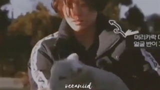 26. یک عدد ببعی خوش شانس... چه ذوقیم میکنه کوکی^^❤️