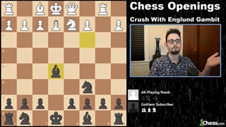 گامبی انگلاند