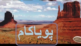 جنگو - موزیک