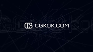 موشن گرافیک کلیپ عروسی Wedding Story Scenes