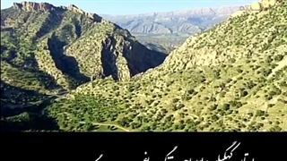 مستند مهرجان ۲ / مسعود اسفینی