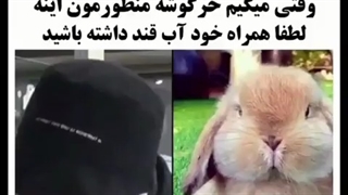 32.وقتی میگیم کوک خرگوشه منظورمون اینه ಥ‿ಥ