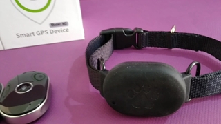 ردیاب حیوانات،بهترین ردیاب سگ:۰۹۱۲۰۱۳۲۸۸۳