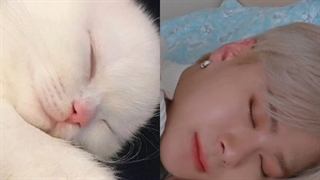 وقتی انقد شبیه گربه هستننننن ^_^