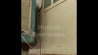 گربه ی شیطون خخخخخخخخ