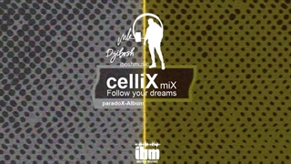 celliXmiX Dj ibosh paradoX Album