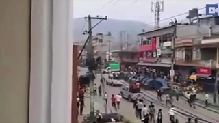 کرگدن فراری در وسط شهر