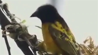 راز هدایت به سمت آرزو